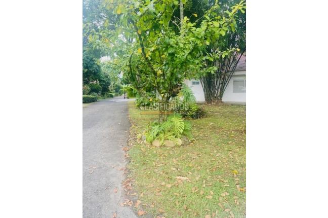 Casas, Alquiler, Pance - $13.000.000