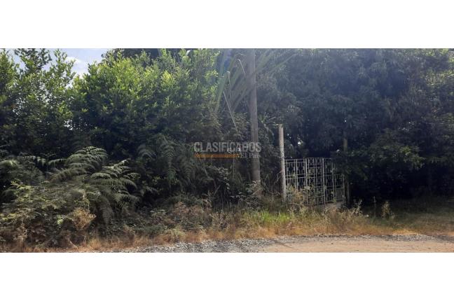 Casas, Venta en La Buitrera