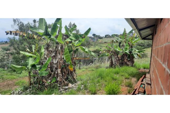 Fincas y Casas Campestres, Venta, Dagua - $320.000.000