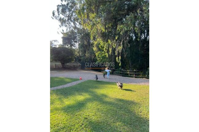 Fincas y Casas Campestres, Venta, Dapa - $1.900.000.000