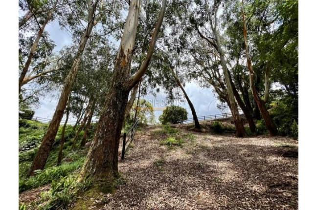 Fincas y Casas Campestres, Venta, Dapa - $1.900.000.000