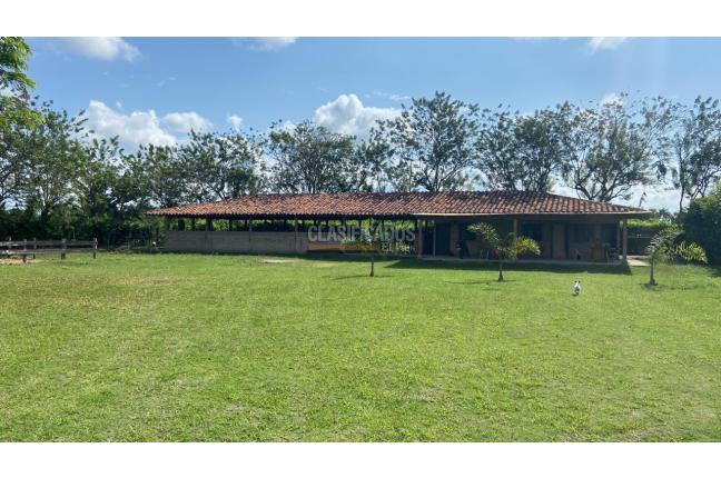 Fincas y Casas Campestres, Venta, Palmira - $2.800.000.000