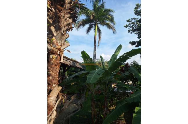 Fincas y Casas Campestres, Venta, Pance - $1.900.000.000