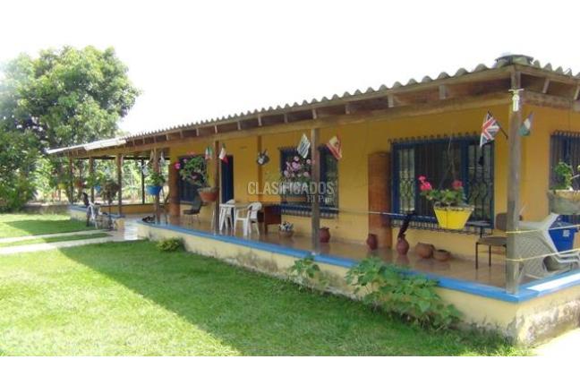 Fincas y Casas Campestres, Venta, Palmira - $1.300.000.000