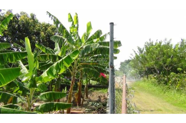 Fincas y Casas Campestres, Venta, Palmira - $1.300.000.000