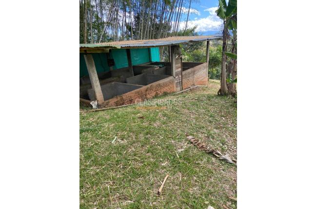 Fincas y Casas Campestres, Venta, Dagua - $500.000.000