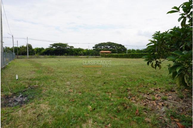 Lotes, Venta, Palmira - $990.000.000