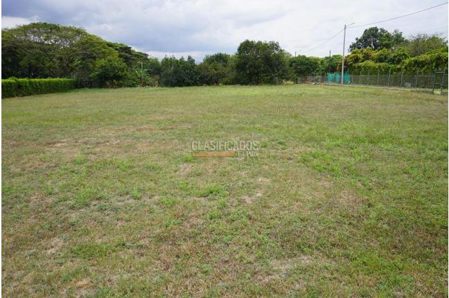 Lotes, Venta, Palmira - $990.000.000