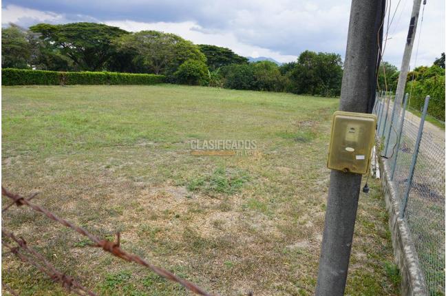 Lotes, Venta en Palmira