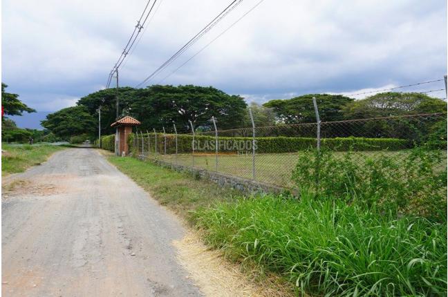 Lotes, Venta en Palmira