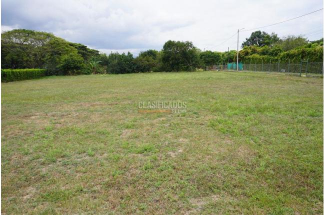 Lotes, Venta, Palmira - $990.000.000