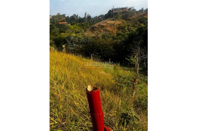 Lotes, Venta en La Reforma