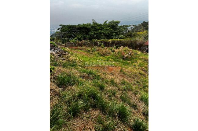 Lotes, Venta en La Reforma