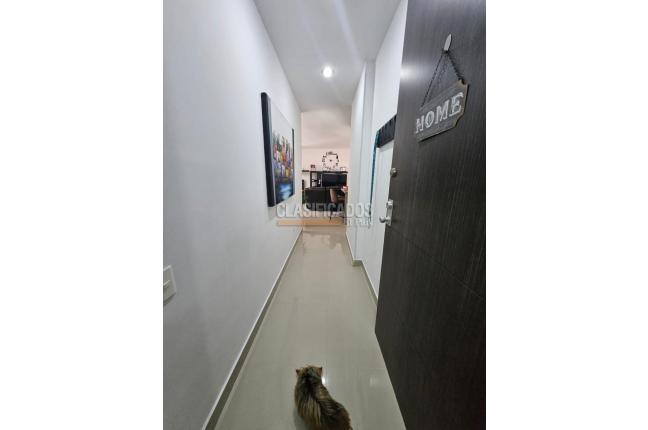 Apartamentos, Venta, Cuarto de Legua - $390.000.000