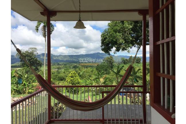 Fincas y Casas Campestres, Venta, Montenegro - $3.200.000.000