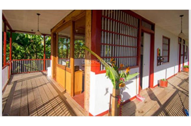 Fincas y Casas Campestres, Venta, Montenegro - $3.200.000.000