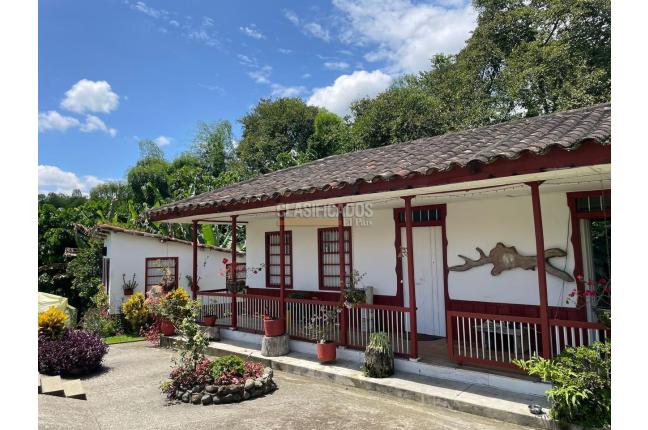 Fincas y Casas Campestres, Venta en Montenegro