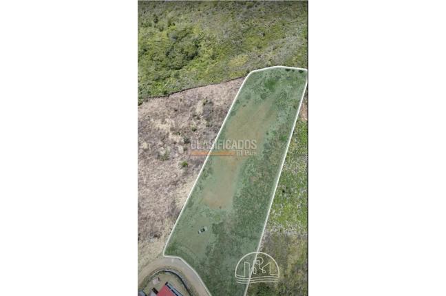 Lotes, Venta en Calima (Darién)