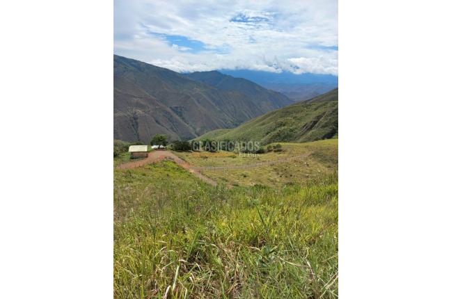 Lotes, Venta, La Cumbre - $140.000.000