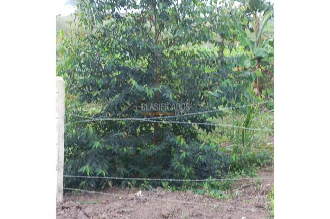 Lotes, Venta, La Cumbre - $140.000.000