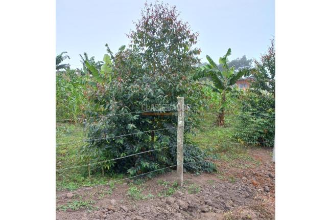 Lotes, Venta, La Cumbre - $140.000.000