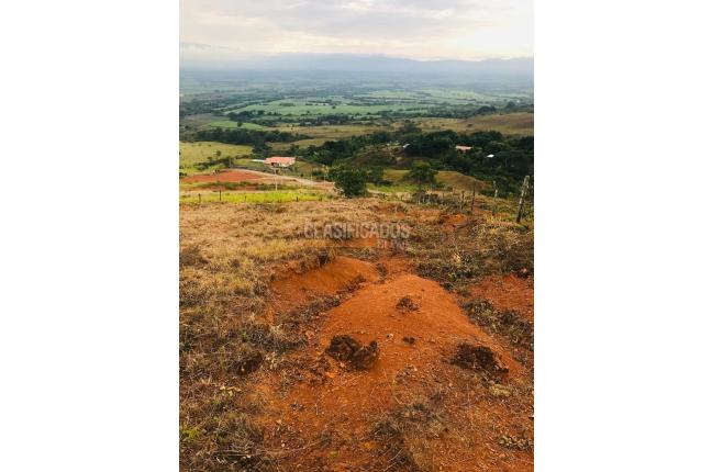 Lotes, Venta, El Cerrito - $504.000.000