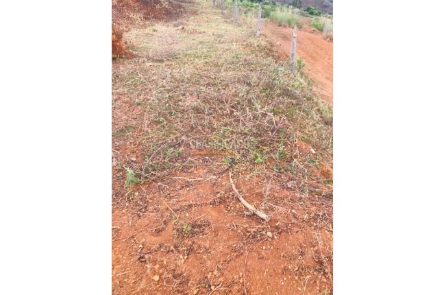 Lotes, Venta, El Cerrito - $504.000.000