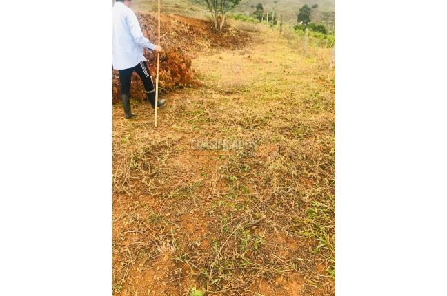 Lotes, Venta, El Cerrito - $504.000.000