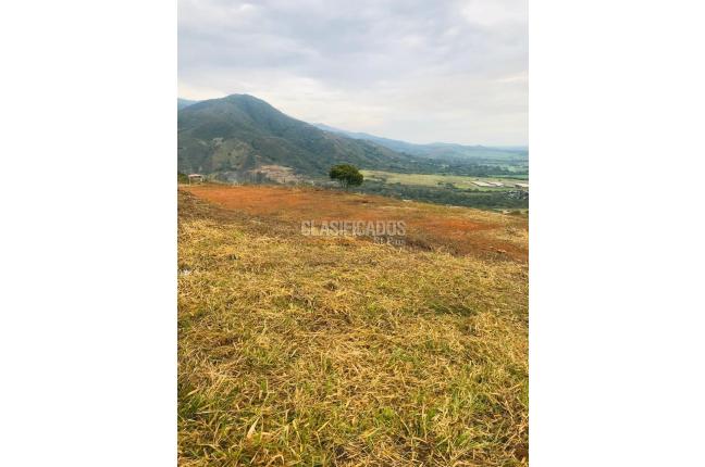 Lotes, Venta, El Cerrito - $504.000.000