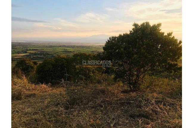 Lotes, Venta, El Cerrito - $504.000.000