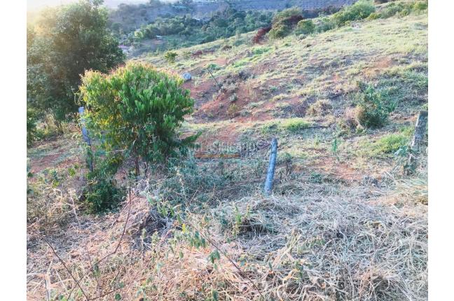 Lotes, Venta en El Cerrito