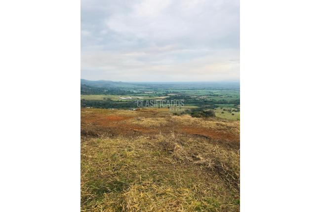 Lotes, Venta, El Cerrito - $504.000.000