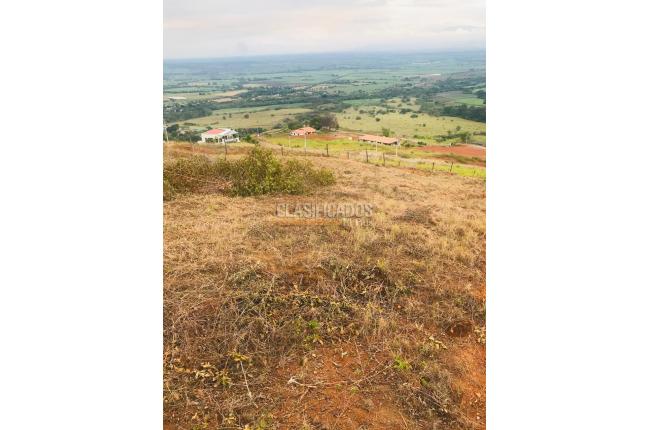 Lotes, Venta, El Cerrito - $504.000.000