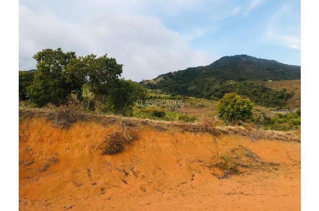 Lotes, Venta, El Cerrito - $504.000.000