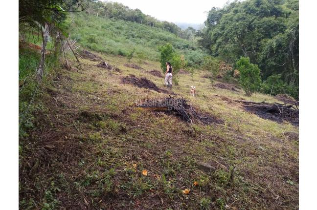 Lotes, Venta en Pance