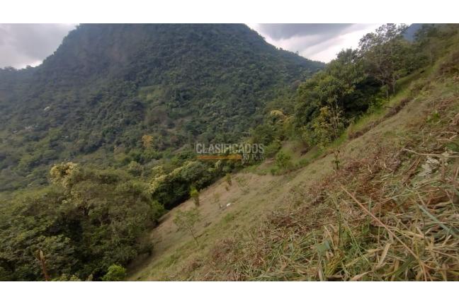 Lotes, Venta en Pance