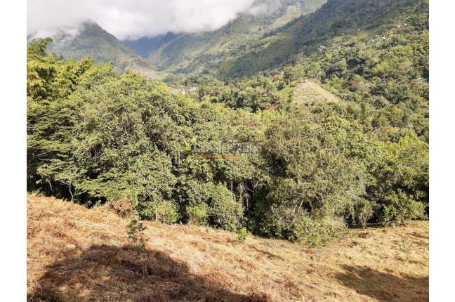 Lotes, Venta en Pance