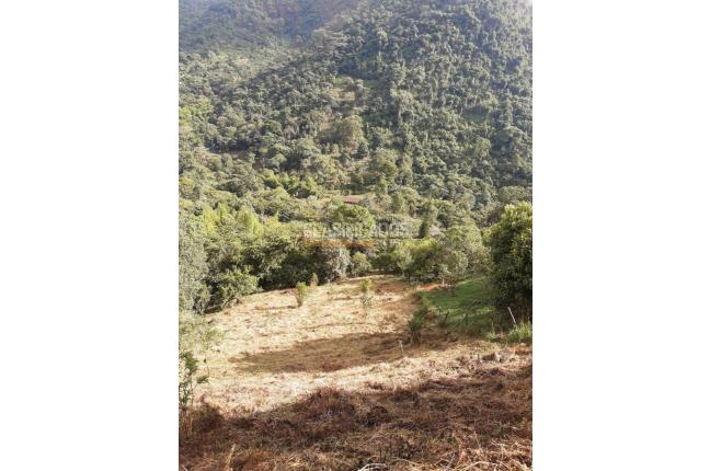 Lotes, Venta, Pance - $245.000.000