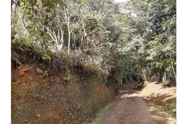 Lotes, Venta, Pance - $245.000.000