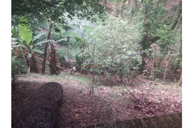 Casas, Venta, El Bosque - $900.000.000