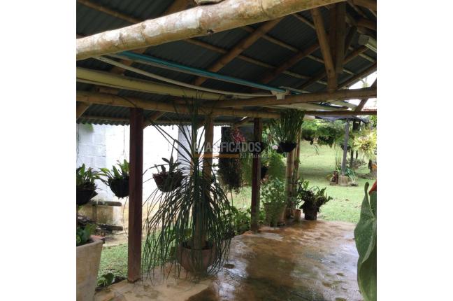 Fincas y Casas Campestres, Venta, Dagua - $550.000.000