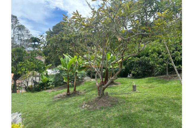 Fincas y Casas Campestres, Venta, Calima (Darién) - $1.270.000.000