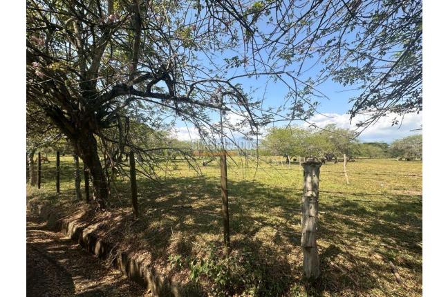 Lotes, Venta en Pance