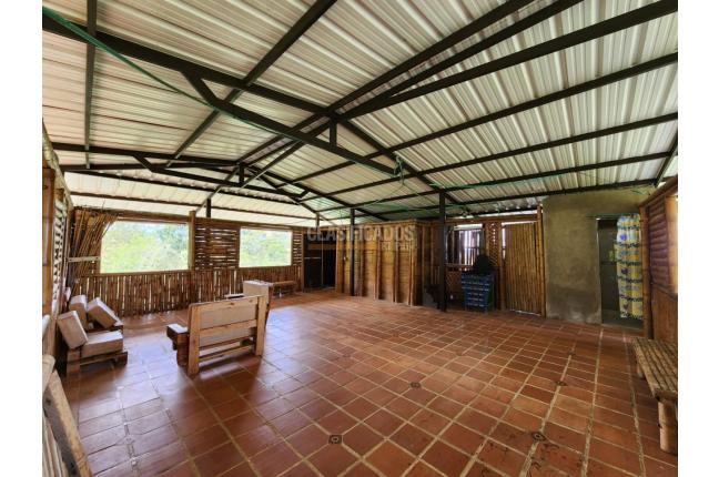 Fincas y Casas Campestres, Venta, Dagua - $350.000.000