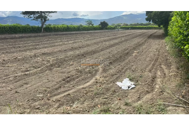 Lotes, Venta en Palmira