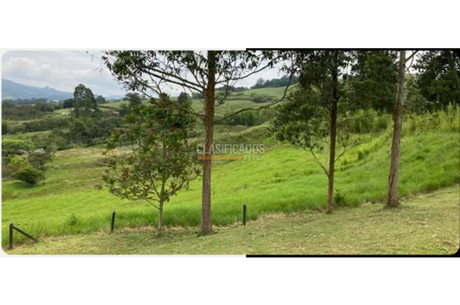 Lotes, Venta en Calima (Darién)