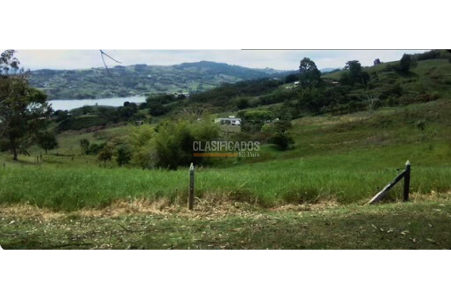 Lotes, Venta en Calima (Darién)