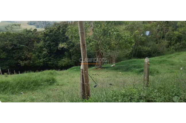 Lotes, Venta, Calima (Darién) - $760.430.000