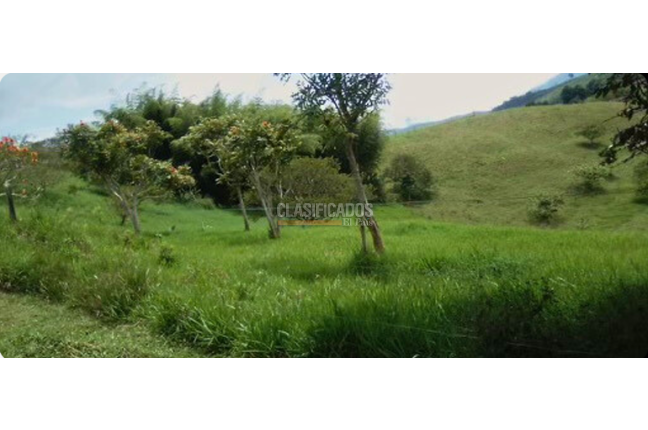 Lotes, Venta, Calima (Darién) - $760.430.000