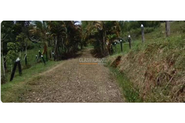 Lotes, Venta, Calima (Darién) - $760.430.000